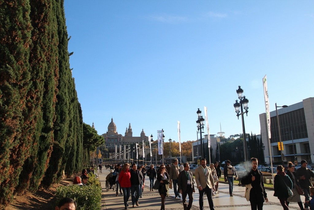 Plaça d'Espanya (28)