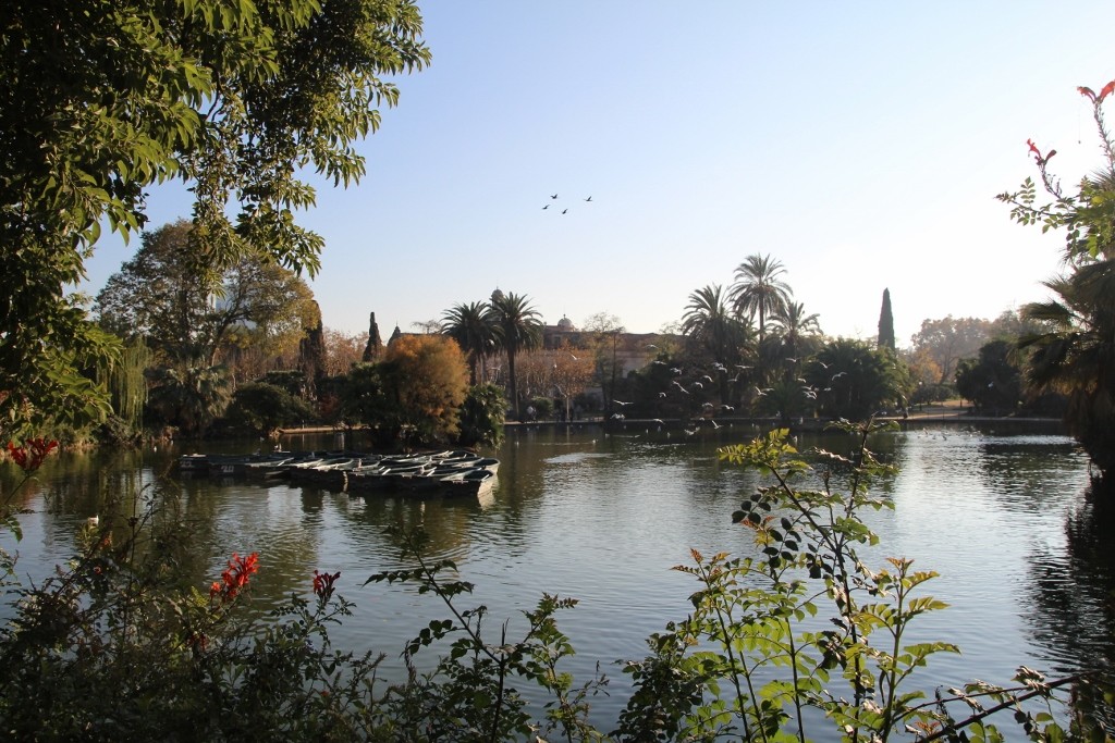 Parc de la Ciutadella (171)