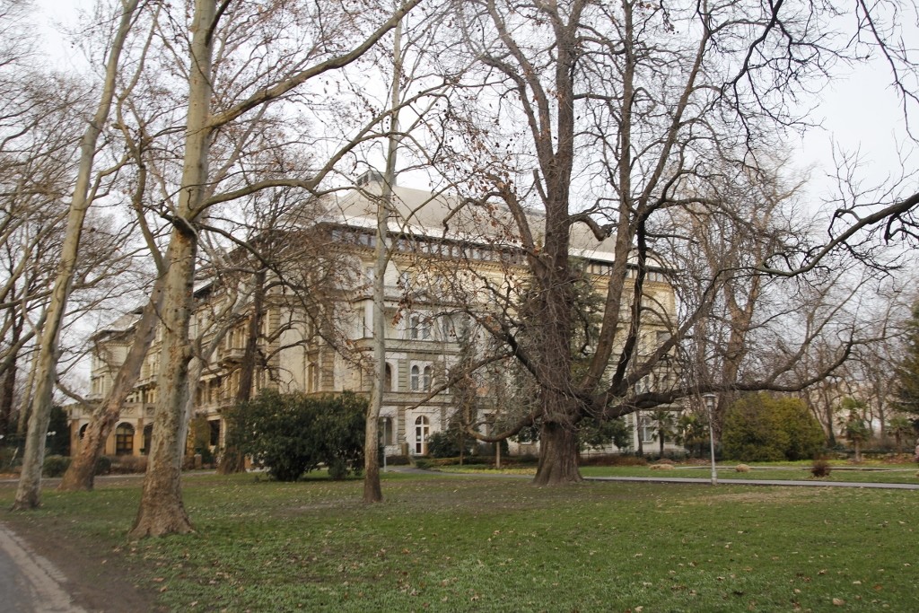 Budapeşte (333)