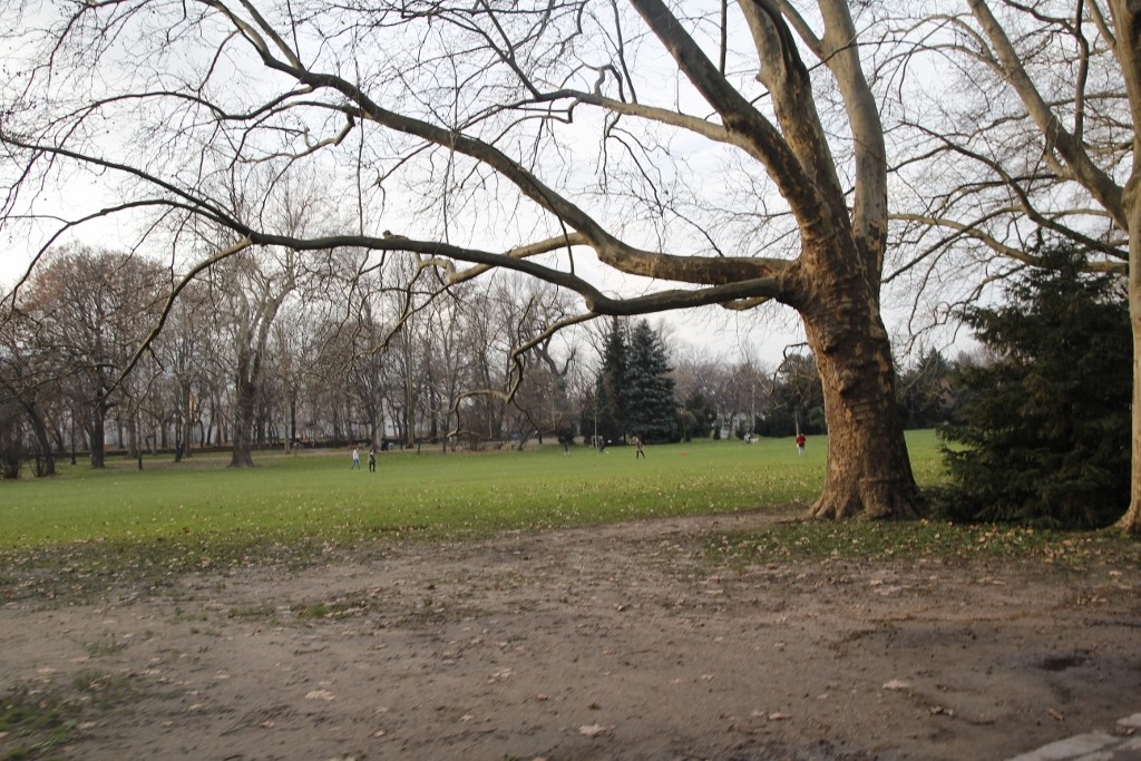 Budapeşte (334)