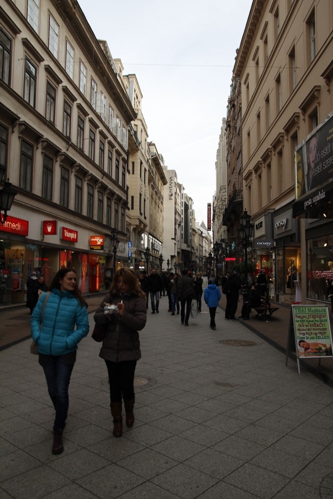 Budapeşte (85)